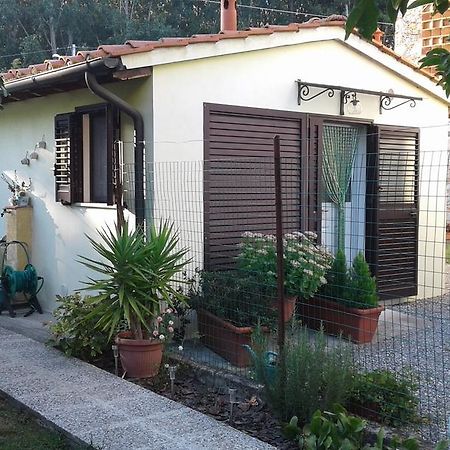 Da Lilly Apartment Lucca Exterior photo