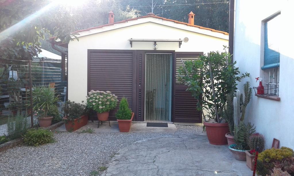 Da Lilly Apartment Lucca Exterior photo